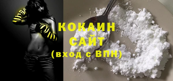 дмт Пересвет
