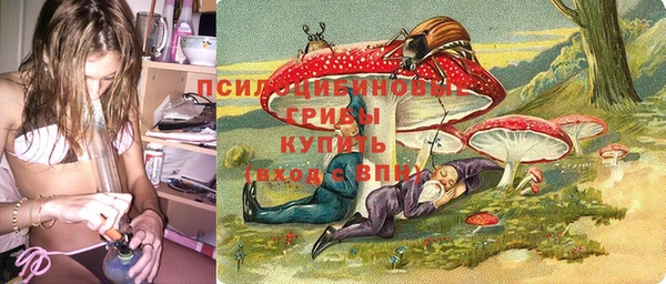 mdma Богданович