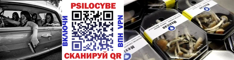 Псилоцибиновые грибы ЛСД  купить закладку  Оса 